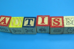 Autism Treatment For Children | 12 Session Parent Run Home Program For Autistic Children